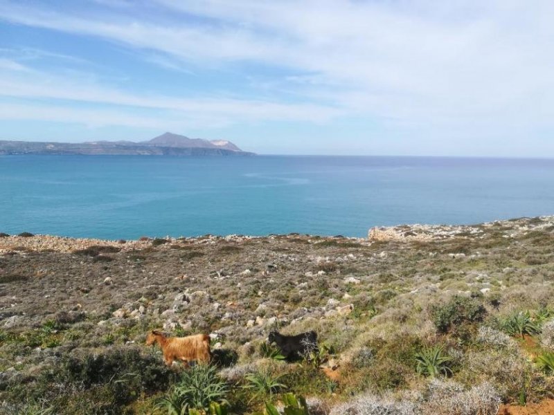 Kokkino Chorio Hervorragendes Grundstück am Meer für gewerbliche Investitionen auf Kreta Grundstück kaufen